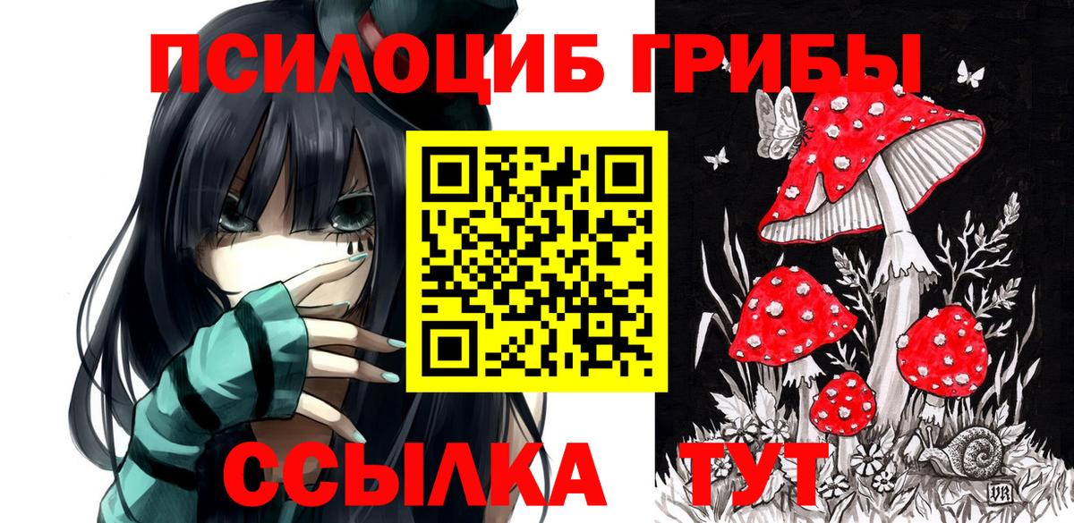Псилоцибиновые грибы прущие грибы  Псилоцибиновые грибы мицелий  Вход с VPN  Волжский 